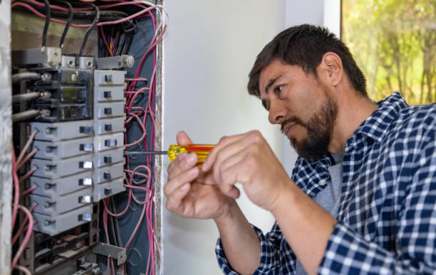 Best Electric Panel Repair  in Rogersville, MO